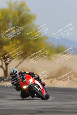 media/Apr-12-2025-Race Pace (Sat) [[9230add55f]]/Vested/6-Turn 4 Tree of Life (115pm)/